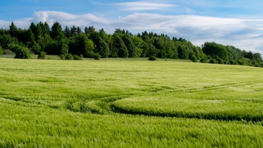 campo-agricultura-oportunidades Drone Agricultura