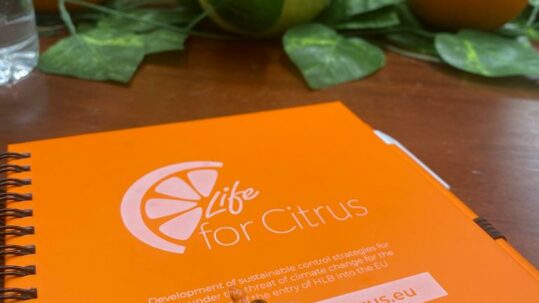 Presentación de la jornada Life / Vida for citrus en Valencia