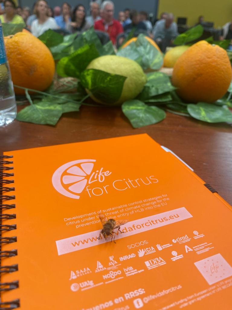 Presentación de la jornada Life / Vida for citrus en Valencia